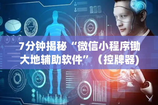 7分钟揭秘“微信小程序锄大地辅助软件”（控牌器)