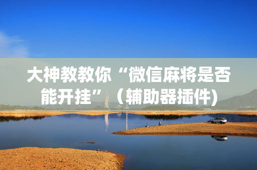 大神教教你“微信麻将是否能开挂”（辅助器插件)