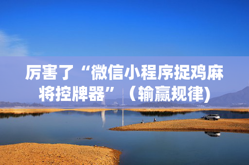 厉害了“微信小程序捉鸡麻将控牌器”（输赢规律)