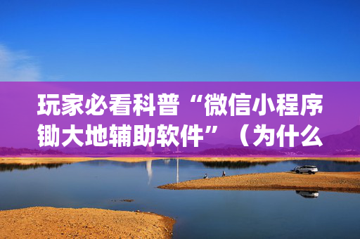 玩家必看科普“微信小程序锄大地辅助软件”（为什么有人一直赢)