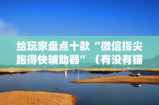 给玩家盘点十款“微信指尖跑得快辅助器”（有没有猫腻)