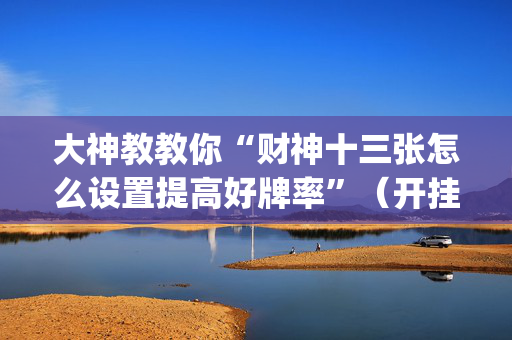 大神教教你“财神十三张怎么设置提高好牌率”（开挂辅助器插件)