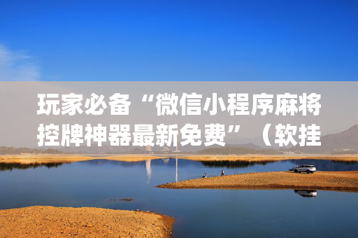 玩家必备“微信小程序麻将控牌神器最新免费”（软挂神器)