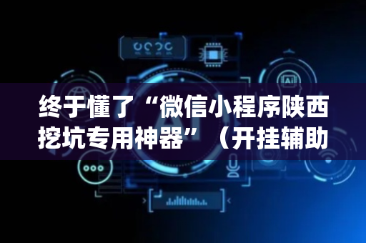 终于懂了“微信小程序陕西挖坑专用神器”（开挂辅助插件)