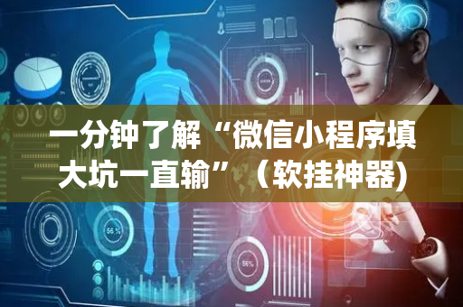一分钟了解“微信小程序填大坑一直输”（软挂神器)