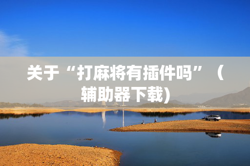 关于“打麻将有插件吗”（辅助器下载)