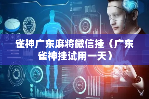 雀神广东麻将微信挂（广东雀神挂试用一天）