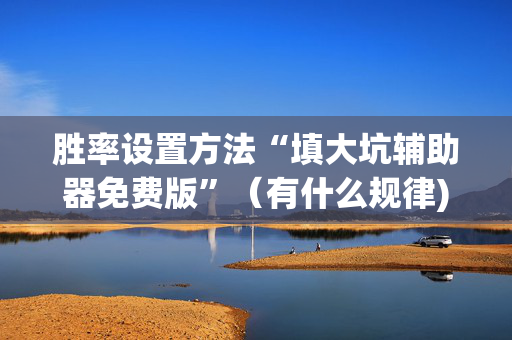 胜率设置方法“填大坑辅助器免费版”（有什么规律)