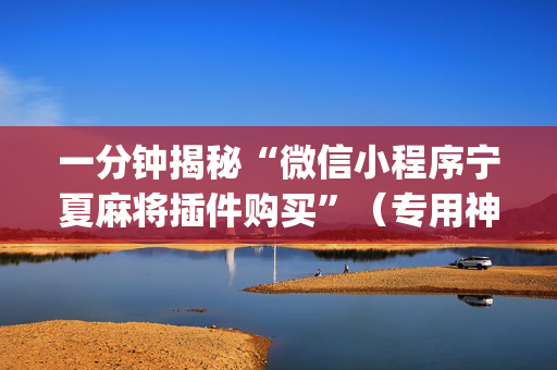 一分钟揭秘“微信小程序宁夏麻将插件购买”（专用神器)