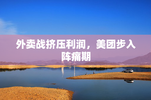 外卖战挤压利润，美团步入阵痛期