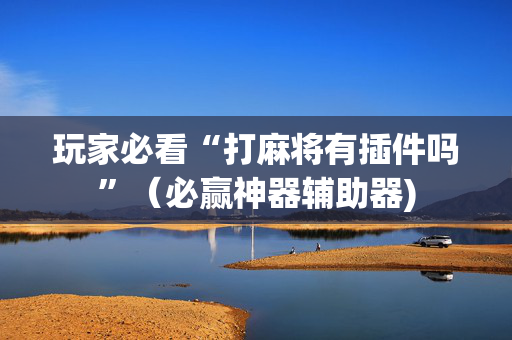 玩家必看“打麻将有插件吗”（必赢神器辅助器)