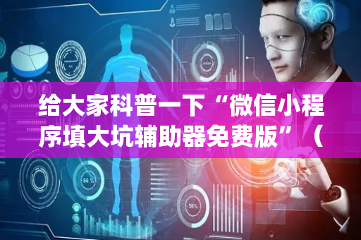 给大家科普一下“微信小程序填大坑辅助器免费版”（辅助器插件)