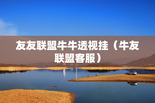 友友联盟牛牛透视挂（牛友联盟客服）
