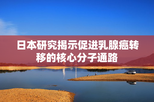 日本研究揭示促进乳腺癌转移的核心分子通路
