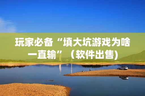 玩家必备“填大坑游戏为啥一直输”（软件出售)