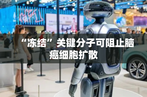 “冻结”关键分子可阻止脑癌细胞扩散