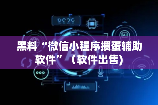 黑料“微信小程序掼蛋辅助软件”（软件出售)
