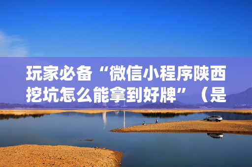 玩家必备“微信小程序陕西挖坑怎么能拿到好牌”（是否能开挂)
