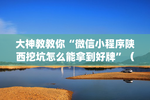 大神教教你“微信小程序陕西挖坑怎么能拿到好牌”（开挂辅助器插件)