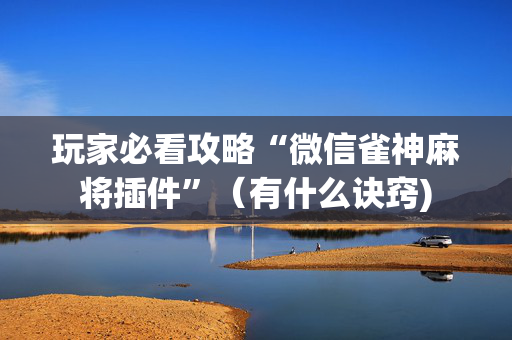 玩家必看攻略“微信雀神麻将插件”（有什么诀窍)