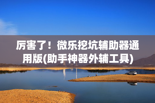 厉害了！微乐挖坑辅助器通用版(助手神器外辅工具)
