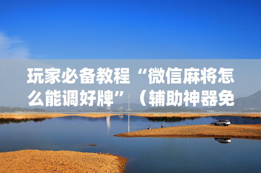 玩家必备教程“微信麻将怎么能调好牌”（辅助神器免费)