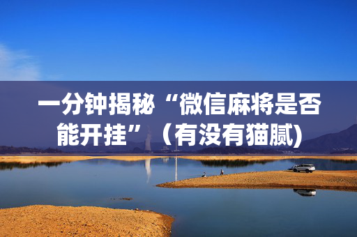 一分钟揭秘“微信麻将是否能开挂”（有没有猫腻)