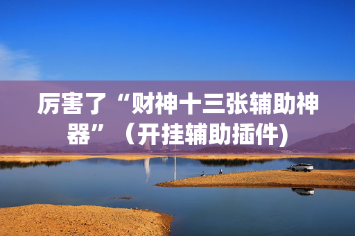 厉害了“财神十三张辅助神器”（开挂辅助插件)