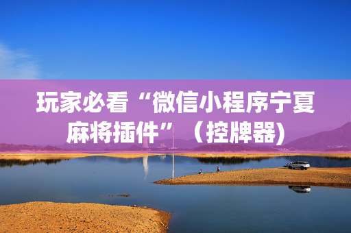 玩家必看“微信小程序宁夏麻将插件”（控牌器)