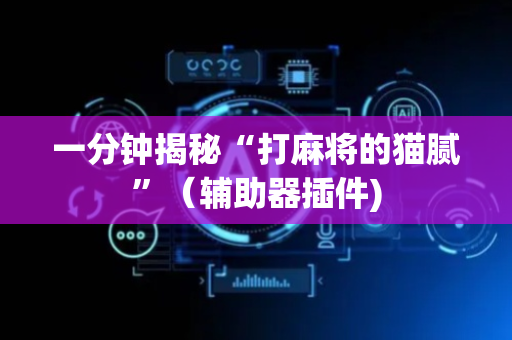一分钟揭秘“打麻将的猫腻”（辅助器插件)