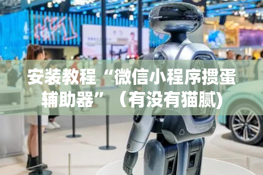 安装教程“微信小程序掼蛋辅助器”（有没有猫腻)