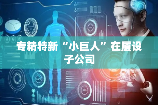 专精特新“小巨人”在厦设子公司