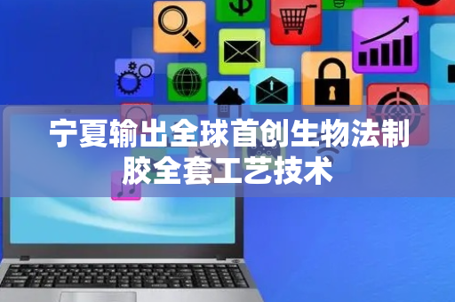 宁夏输出全球首创生物法制胶全套工艺技术