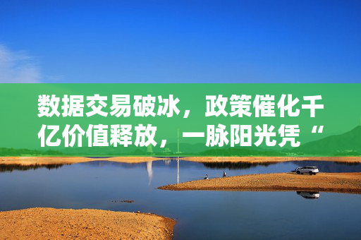 数据交易破冰，政策催化千亿价值释放，一脉阳光凭“基座模型+数据资产”筑护城河