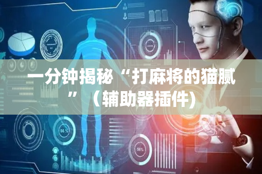 一分钟揭秘“打麻将的猫腻”（辅助器插件)