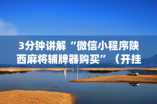 3分钟讲解“微信小程序陕西麻将辅牌器购买”（开挂辅助脚本)