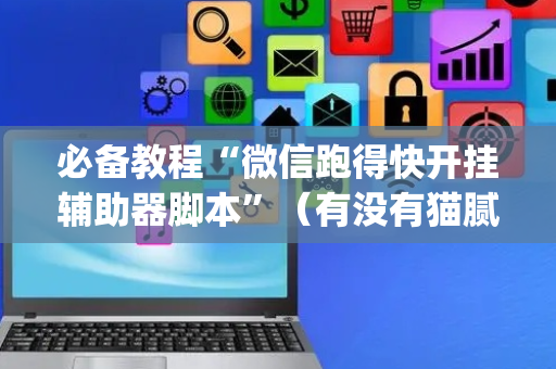 必备教程“微信跑得快开挂辅助器脚本”（有没有猫腻)