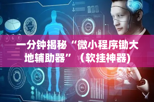 一分钟揭秘“微小程序锄大地辅助器”（软挂神器)