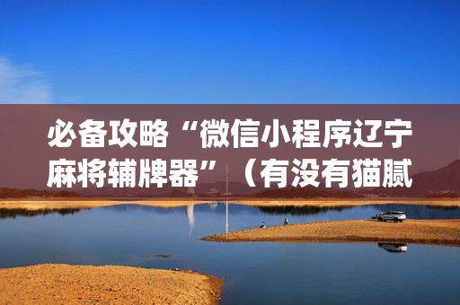 必备攻略“微信小程序辽宁麻将辅牌器”（有没有猫腻)