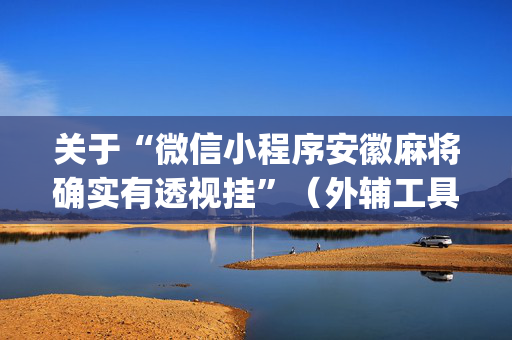关于“微信小程序安徽麻将确实有透视挂”（外辅工具)