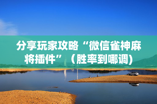 分享玩家攻略“微信雀神麻将插件”（胜率到哪调)