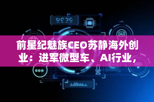 前星纪魅族CEO苏静海外创业：进军微型车、AI行业，已获迪拜某机构投资｜独家