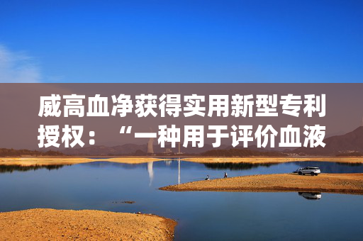 威高血净获得实用新型专利授权：“一种用于评价血液滤过器的系统”