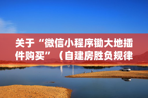 关于“微信小程序锄大地插件购买”（自建房胜负规律)