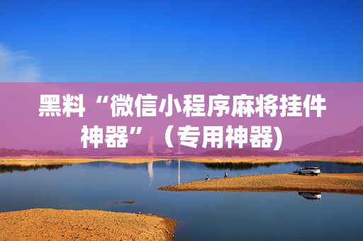 黑料“微信小程序麻将挂件神器”（专用神器)
