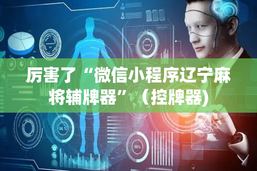 厉害了“微信小程序辽宁麻将辅牌器”（控牌器)