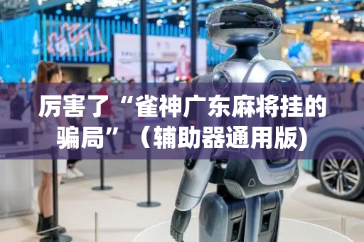 厉害了“雀神广东麻将挂的骗局”（辅助器通用版)