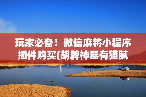 玩家必备！微信麻将小程序插件购买(胡牌神器有猫腻吗)