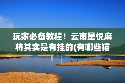玩家必备教程！云南星悦麻将其实是有挂的(有哪些猫腻)