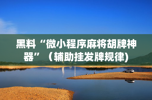 黑料“微小程序麻将胡牌神器”（辅助挂发牌规律)